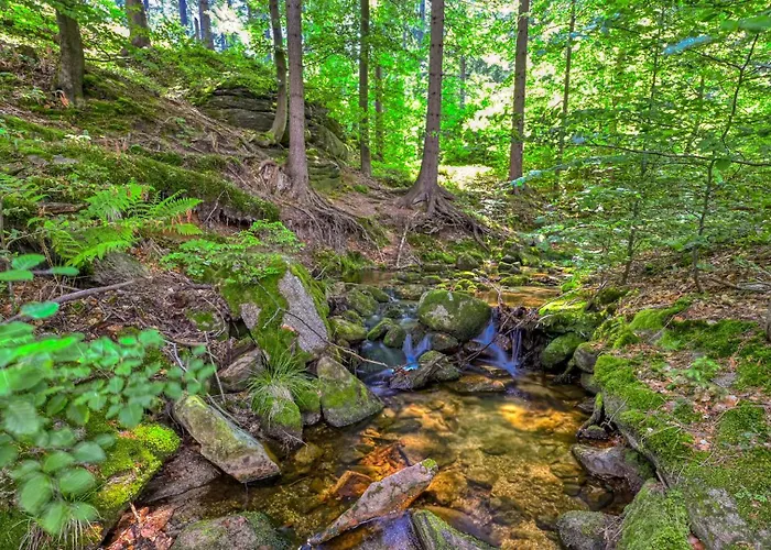 Royal Aparts Centrum - Kilinskiego 17a Przy Wyciagu, Blisko Szlakow Szklarska Poreba