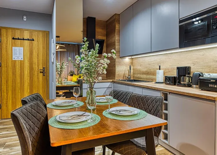 Apartment Royal Aparts Centrum - Kilinskiego 17a Przy Wyciagu, Blisko Szlakow